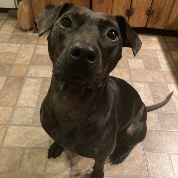 Meet your Posher, Breanna - Picture 1 of 1